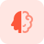 brain (1)