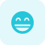 emoji (1)
